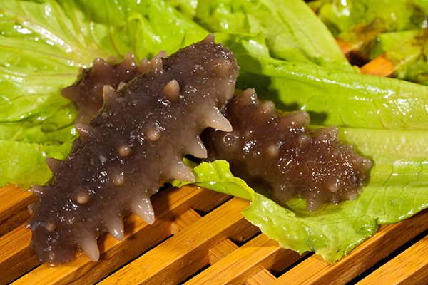 ʲô�˲����ԳԺ��� ɶ�˲��ܳԺ���